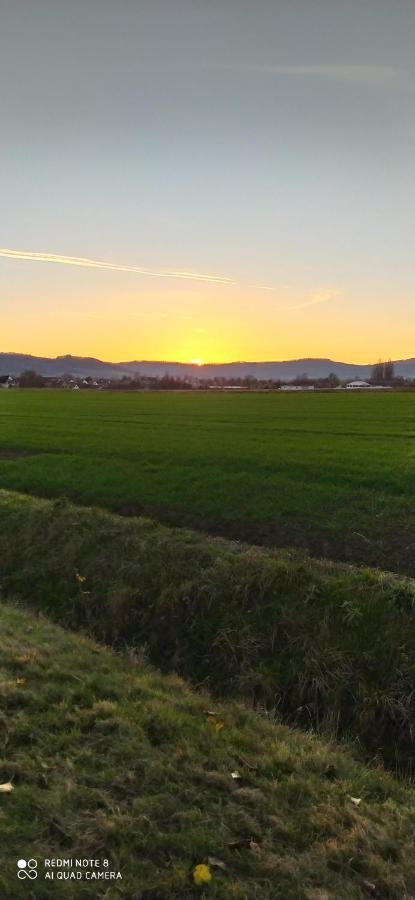 Ferienwohnung Colin Im Schoenen Weserbergland Naehe Freizeitpark Salzhemmendorf Buitenkant foto